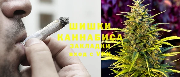 ГАЛЛЮЦИНОГЕННЫЕ ГРИБЫ Белокуриха